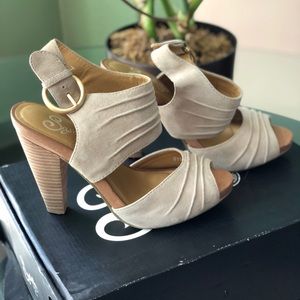 Seychelles gypsy in Natural